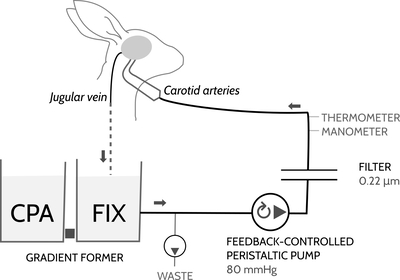 figure-02-gradient-former.jpg